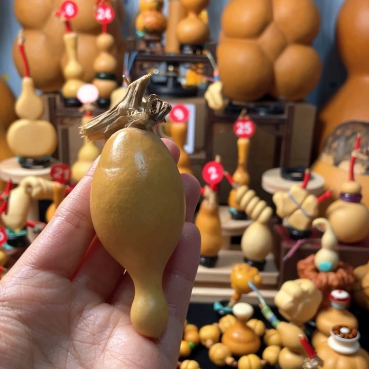 「***玩葫芦头和鱼萝卜是我心中最最