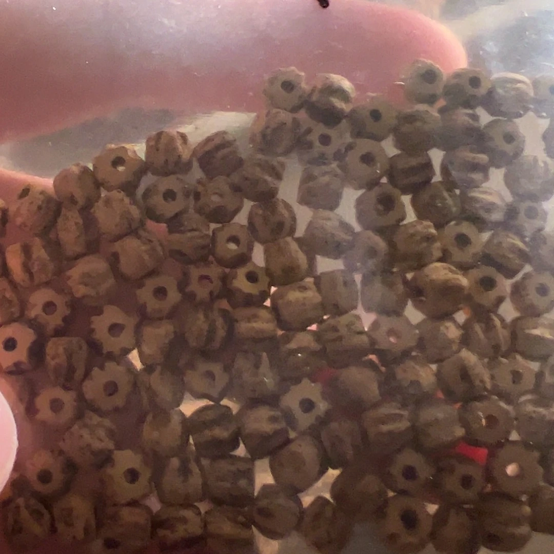 柏香籽/百香籽吊坠天***头