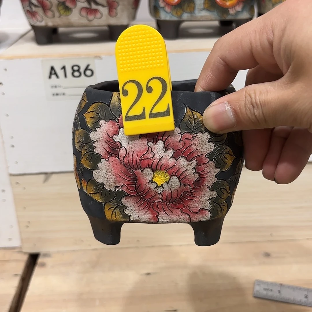 罐会****阳哈哈哈哈哈哈哈哈哈哈哈哈