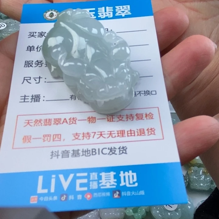 翡翠未镶嵌颈饰多人貔貅