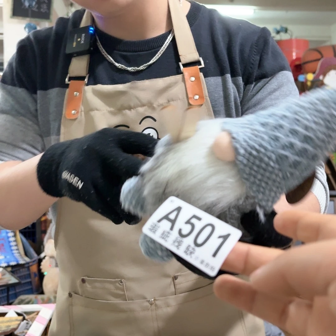 核桃木/黑胡桃（胡桃木）