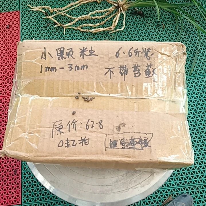 陈***波兰菌颗粒小颗粒6.6斤