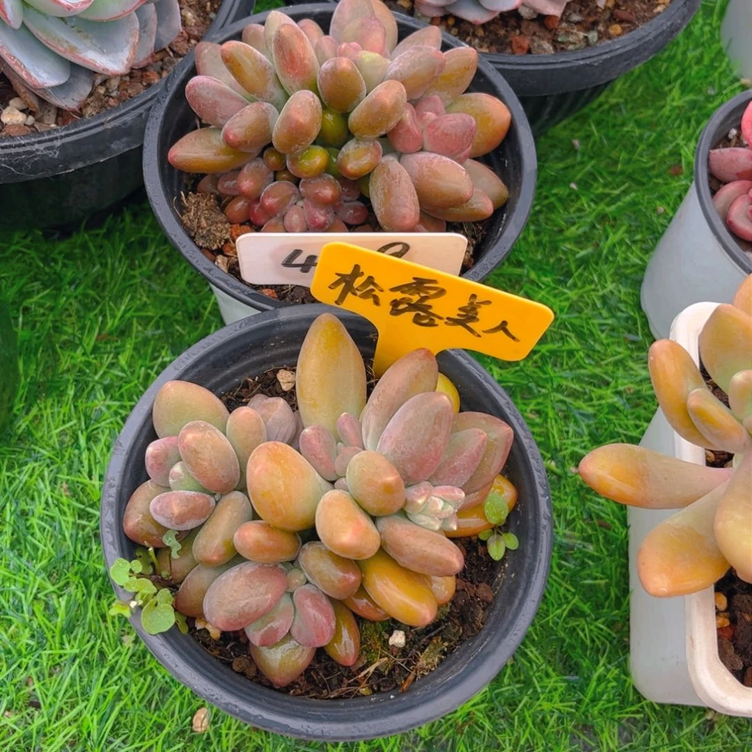 嘎*479fghjjkjjjjjjjjj