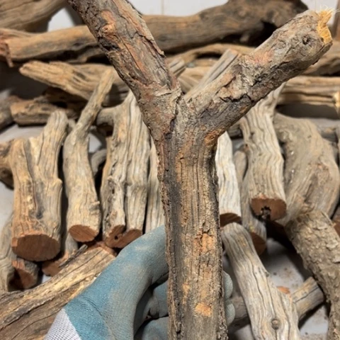 大果紫檀（缅甸花梨）尛*斗