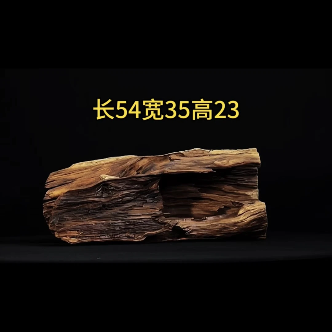 张大狼造景沉木长54cm半洞 乌龟爬台南美鱼缸造景 紫柚木秒沉