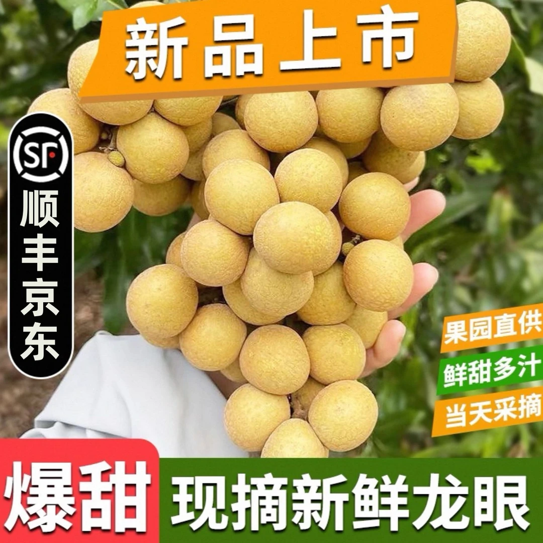 【顺丰/JD】新鲜龙眼当季孕妇现摘应季水果桂圆整箱现货F
