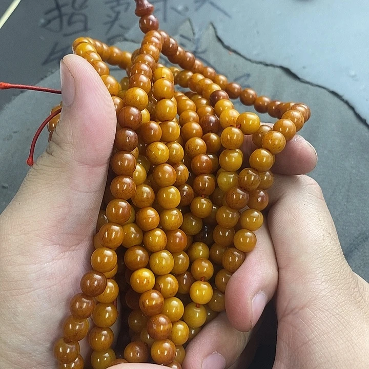 大果紫檀（缅甸花梨）311