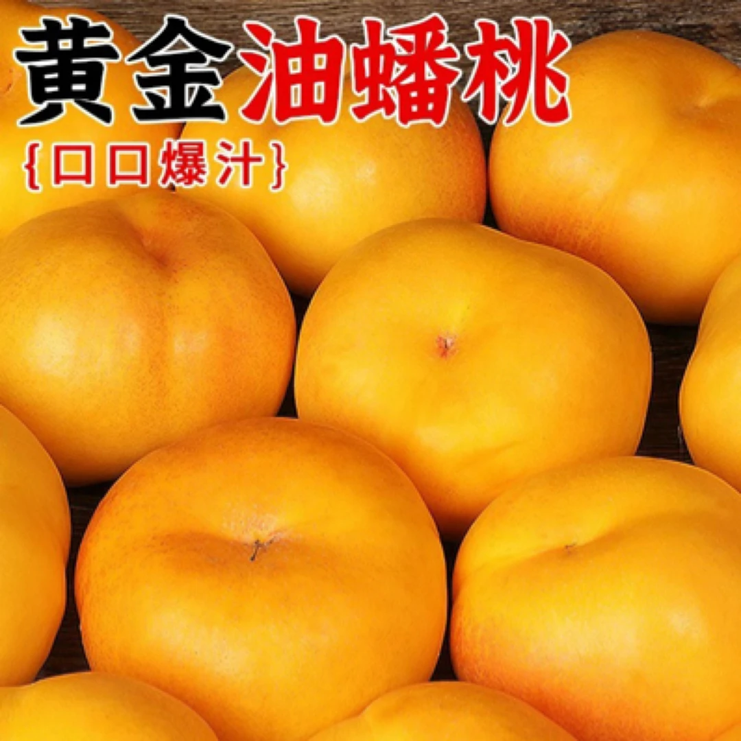 【蒙阴蟠桃】正宗山东蒙阴彩虹油蟠桃无毛黄肉桃子当季新鲜水果整箱