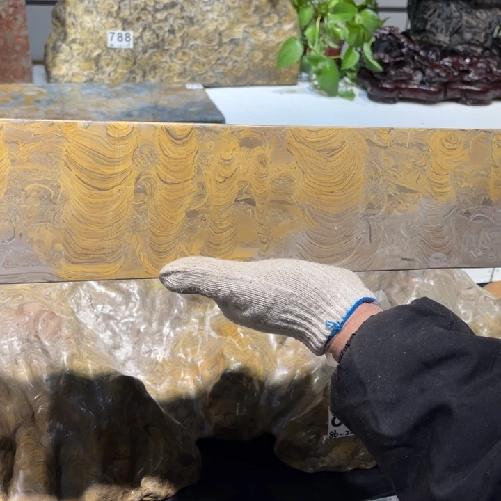 紫砂茶盘熊****)金钱壶承