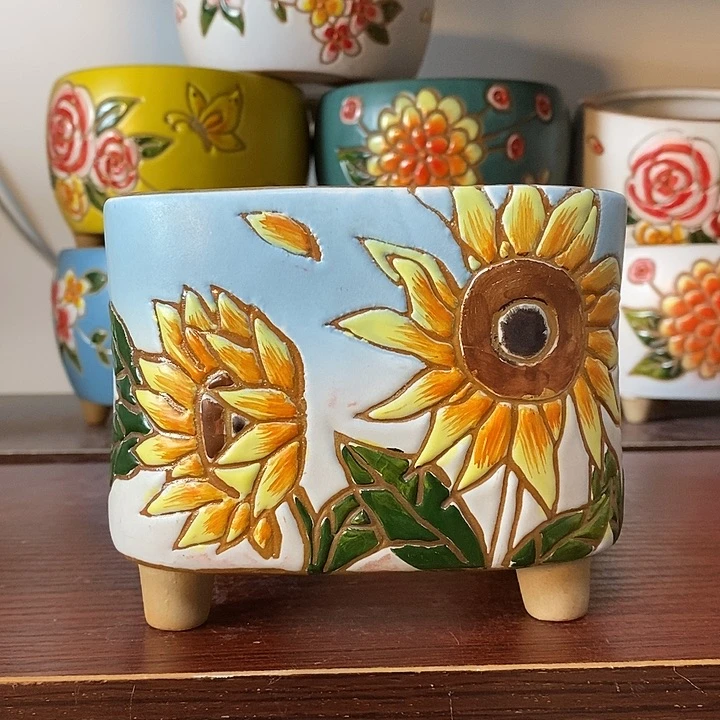 韩式多肉植物花盆