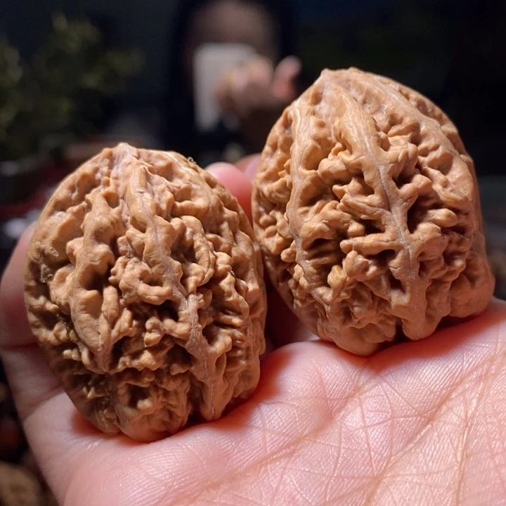 一***斗把件文玩核桃东北楸子小路 东北楸子小路 276