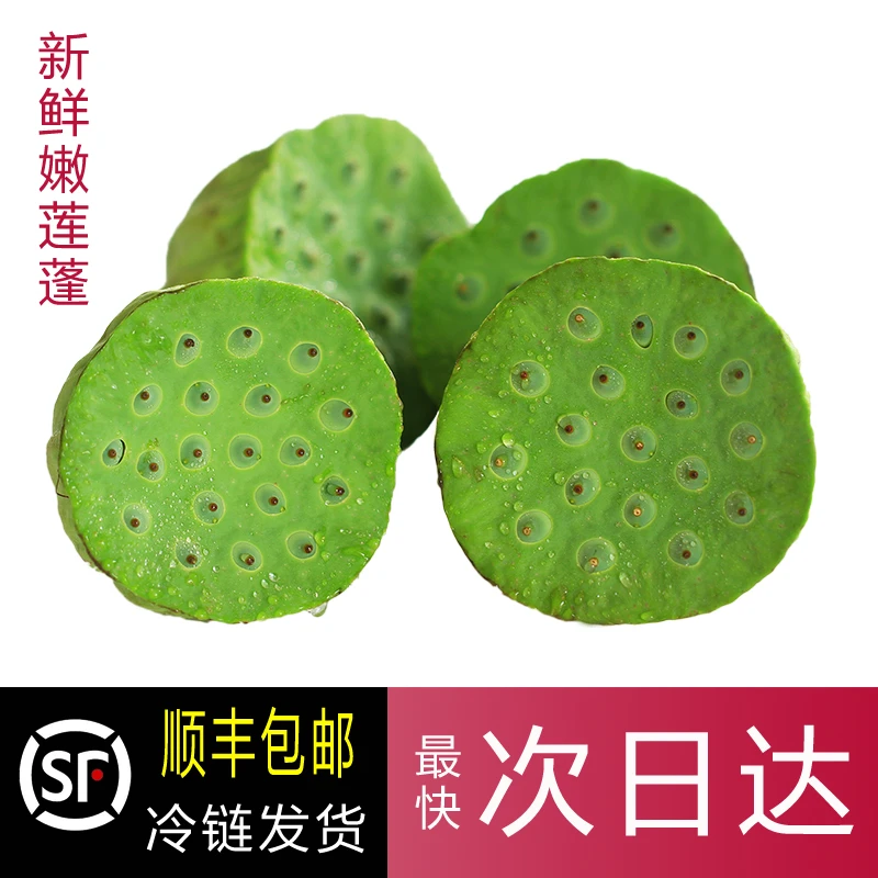 【加冰顺丰发货】新鲜嫩莲蓬生吃水果莲蓬鲜甜莲蓬新鲜蔬果现摘清甜