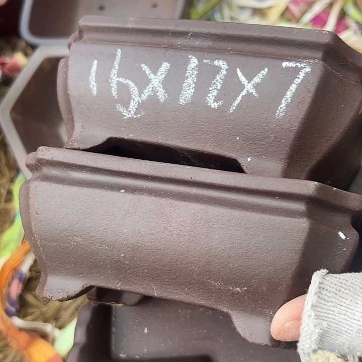 瑕疵吃吸血虫吸血虫瑕疵吃