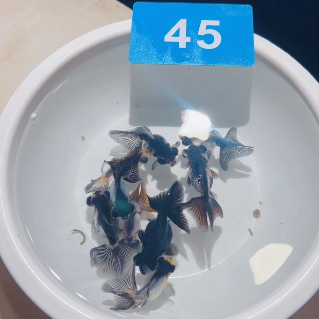 海水11111111111111