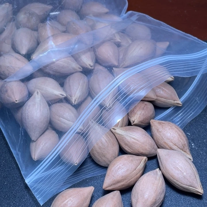 心***驻吊坠橄榄核不退不换