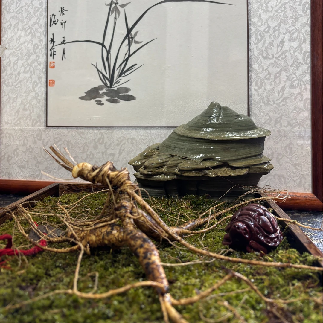 东北长白山优质林下参泡酒煲汤滋补药材【以直播实物为准】