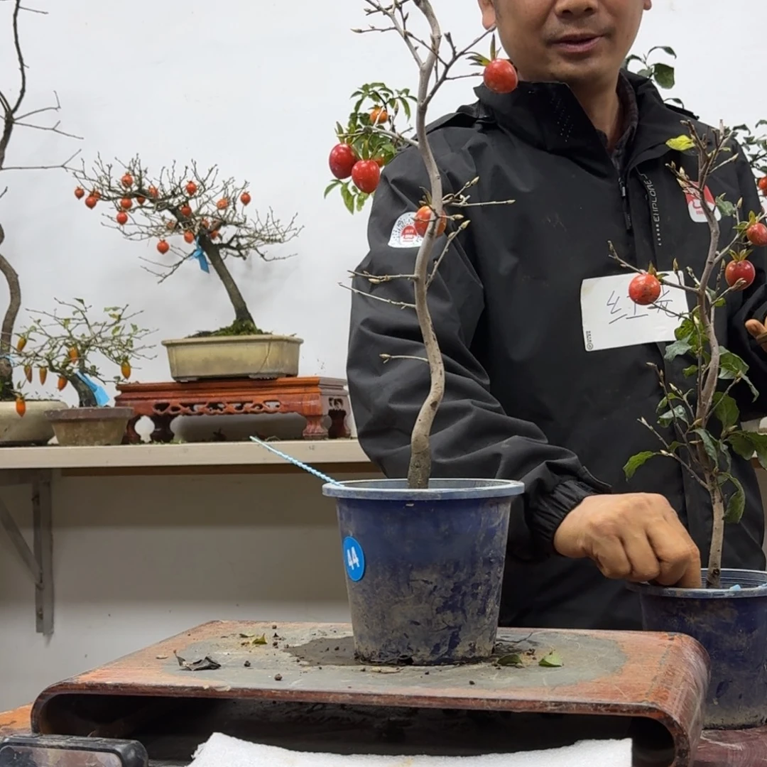 百***缘无花朵44顺丰到付