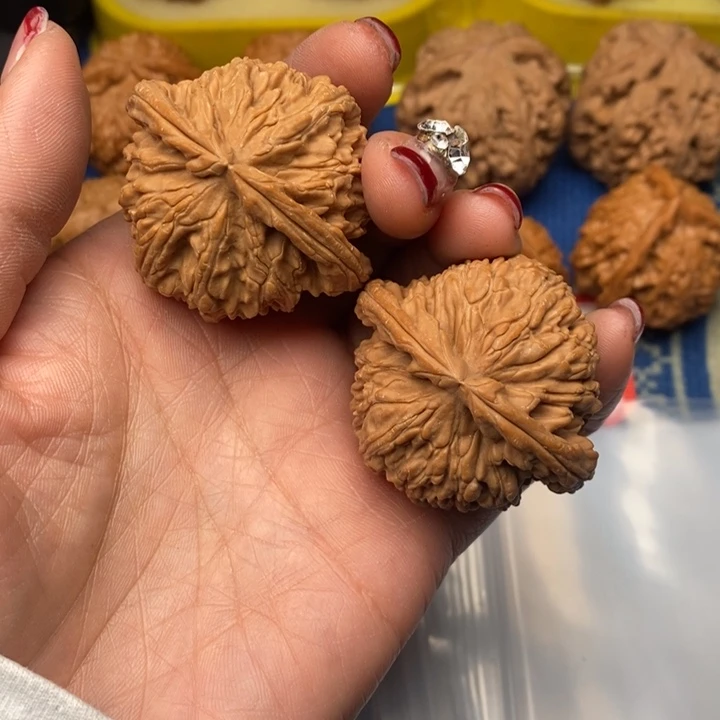 桃核吊坠白狮子核桃44全品