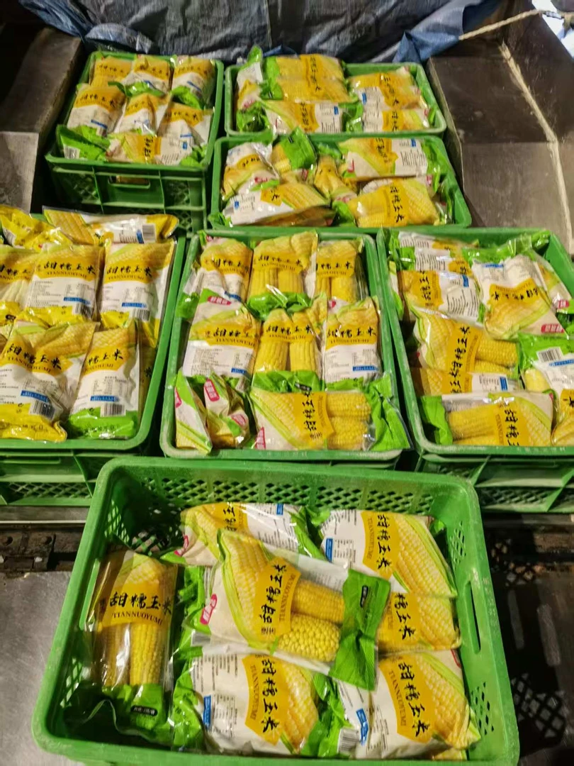 B等黄糯玉米-10根一箱-源头工厂店产地直发