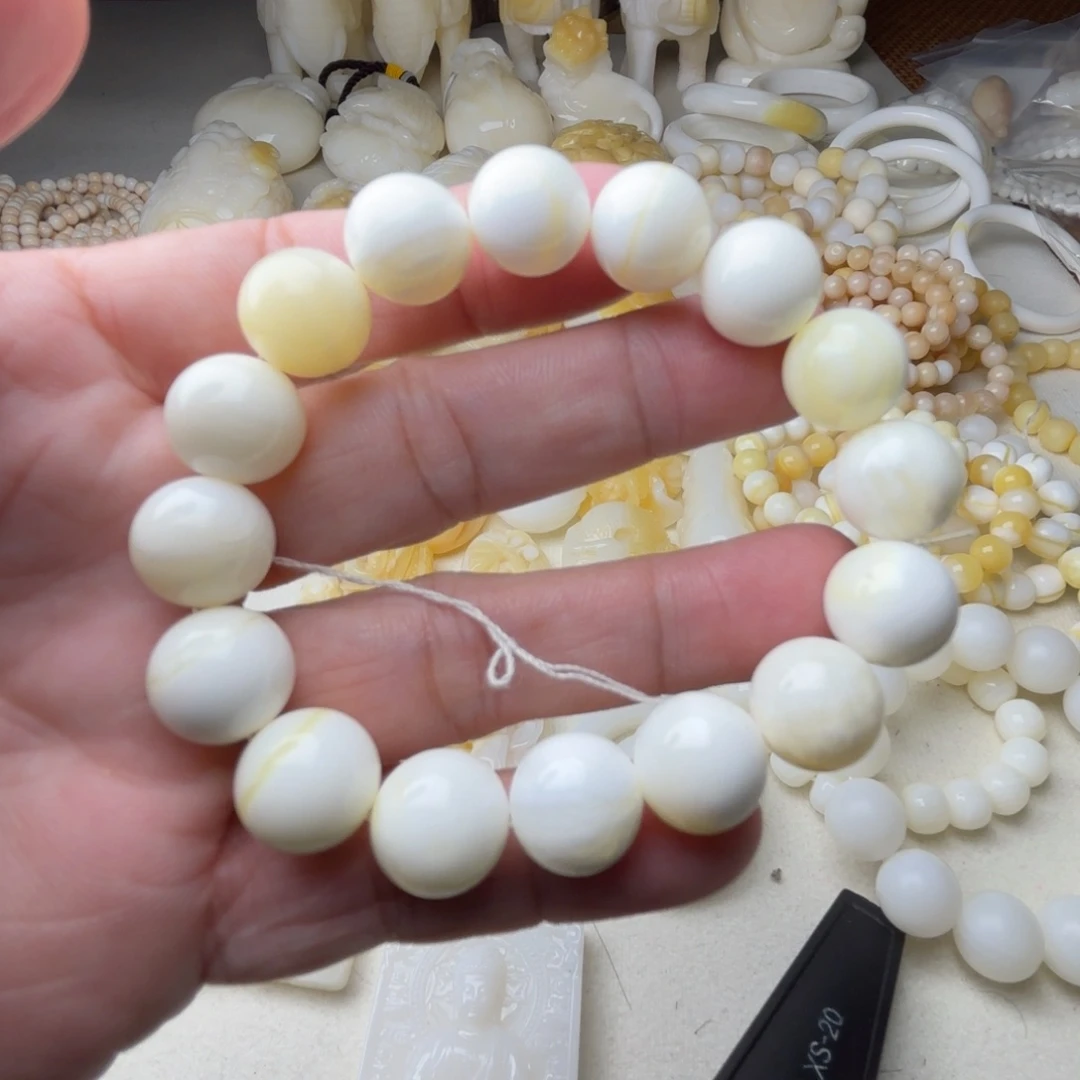 非金属贝壳ℋ****天然贝壳