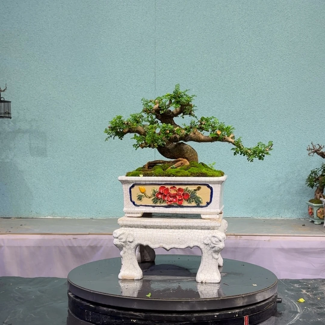 用***8无花朵111111111111111111