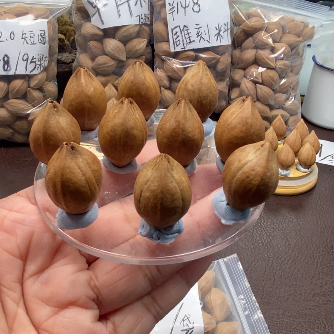 橄榄核原皮素核一条