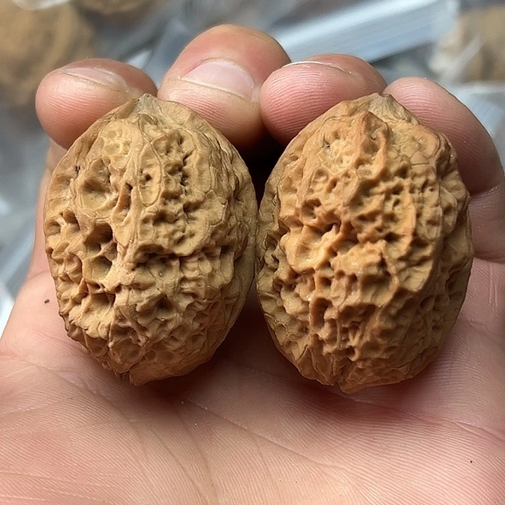 文玩核桃把件2号文太蛤蟆41尺