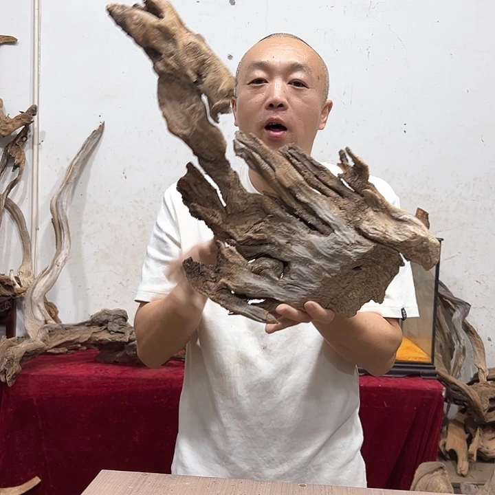 柏木呆*呗我们都是好孩子呀我也