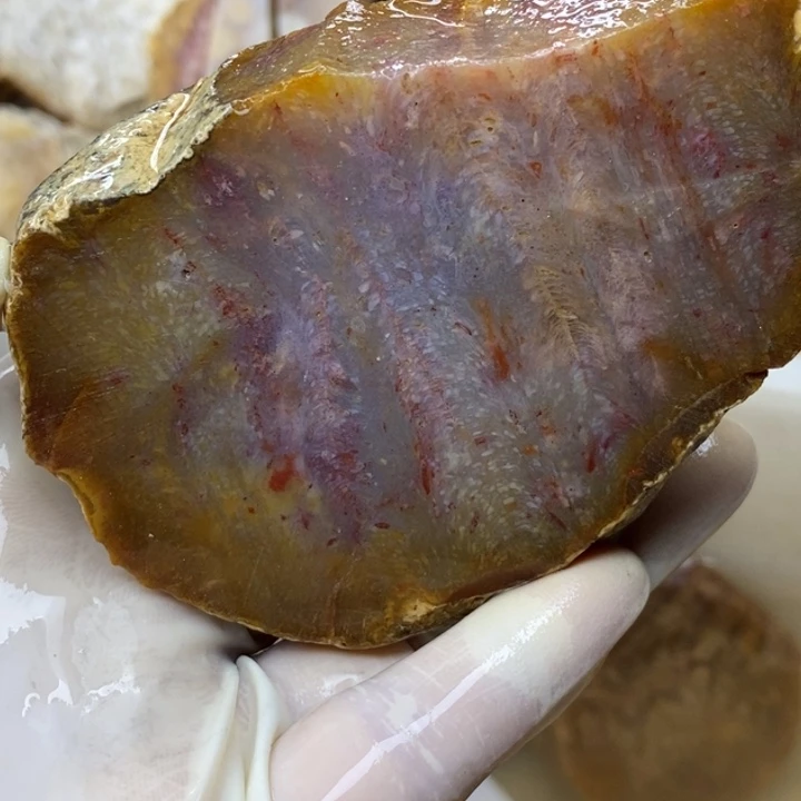 【闪购商品】未镶嵌珊瑚玉硅化玉