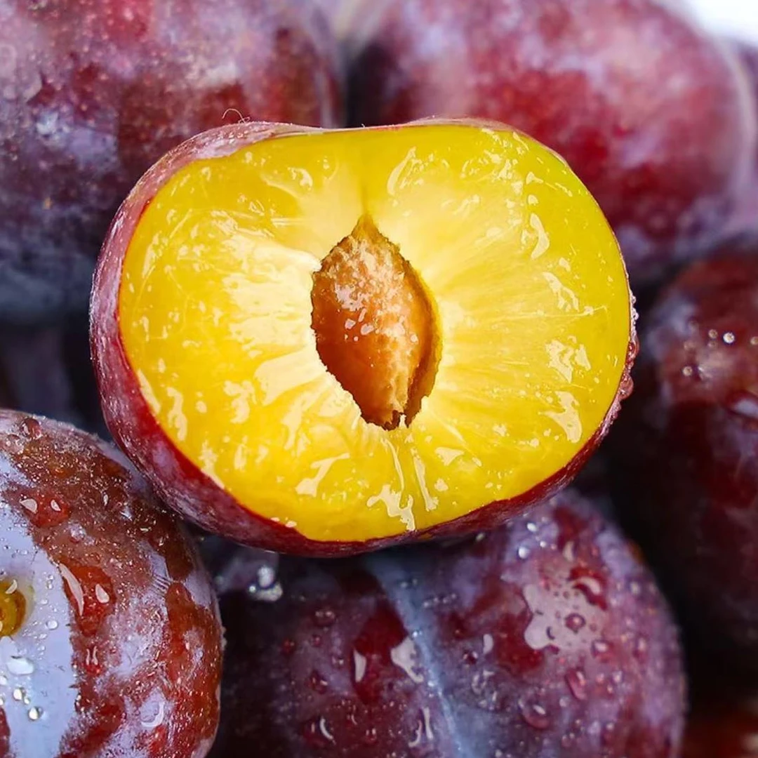 【顺丰】四川脆红李脆李新鲜当季孕妇水果水分充盈