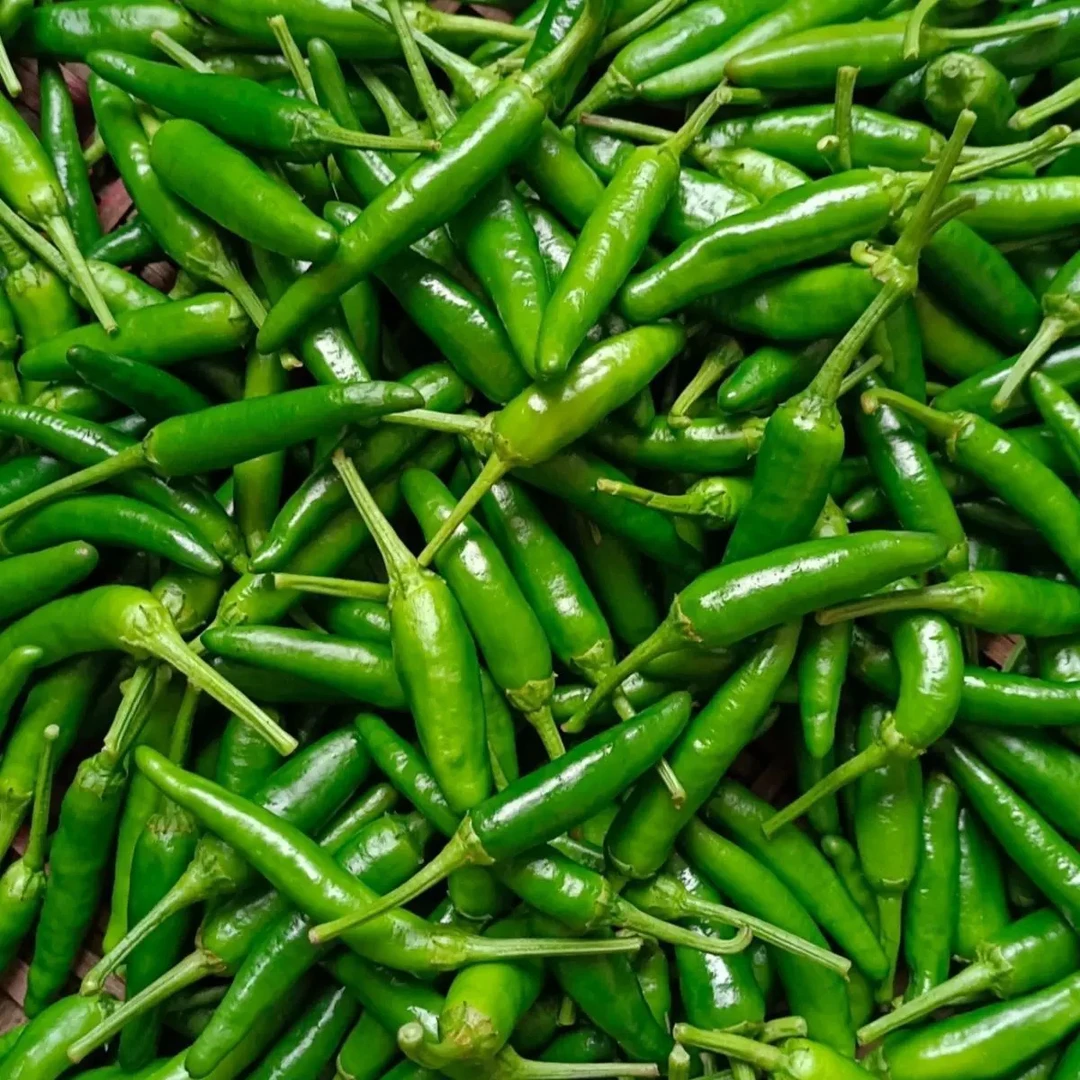 广西桂林全州咸水农家自种青辣椒土辣椒薄皮香辣朝天辣尖辣椒
