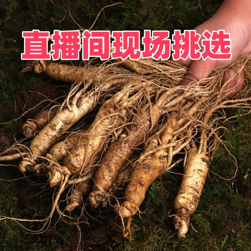 长白山鲜人参半斤装2025新货微残自用实惠看好下单介意勿拍