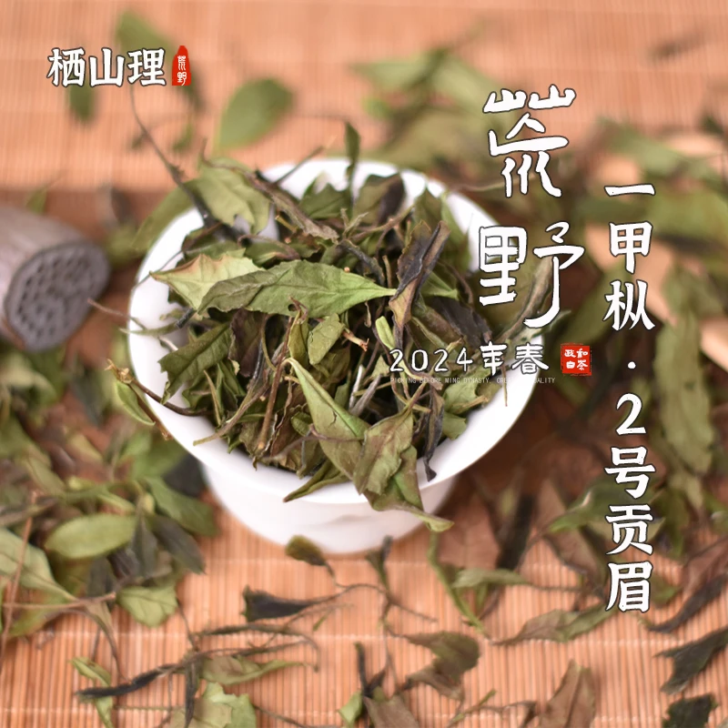 【一甲枞·贡眉】2024年荒野2号贡眉 政和白茶 农药化肥0使用 100g
