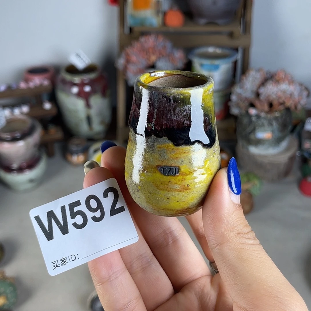 拇指盆 内口2.5左右 百搭