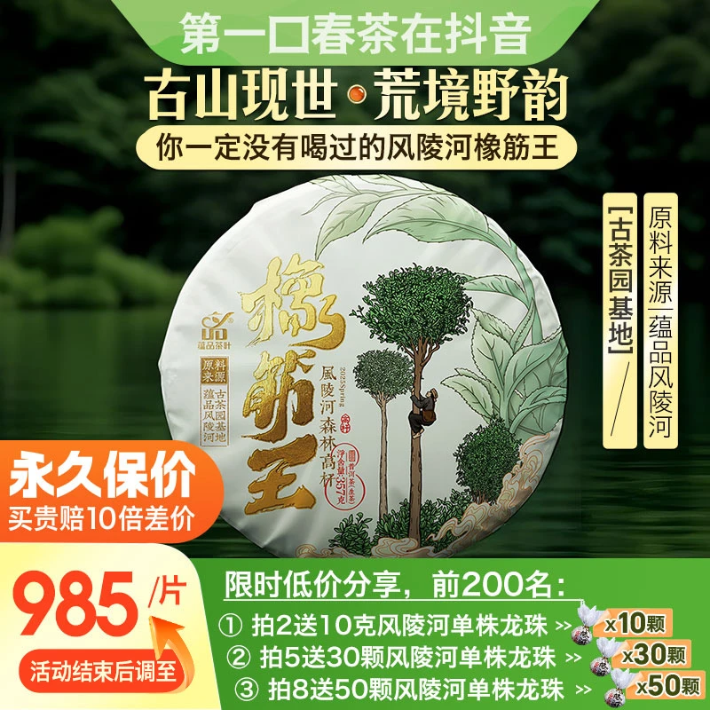 蕴品【风陵河一定要喝】鲜甜鲜爽2025头春橡筋王风陵河森林高杆古树