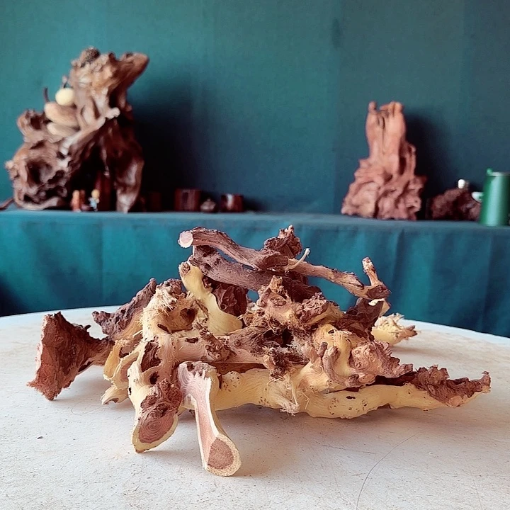 黑果木想**人229金丝红木羊蹄甲原材料不能退到手10件