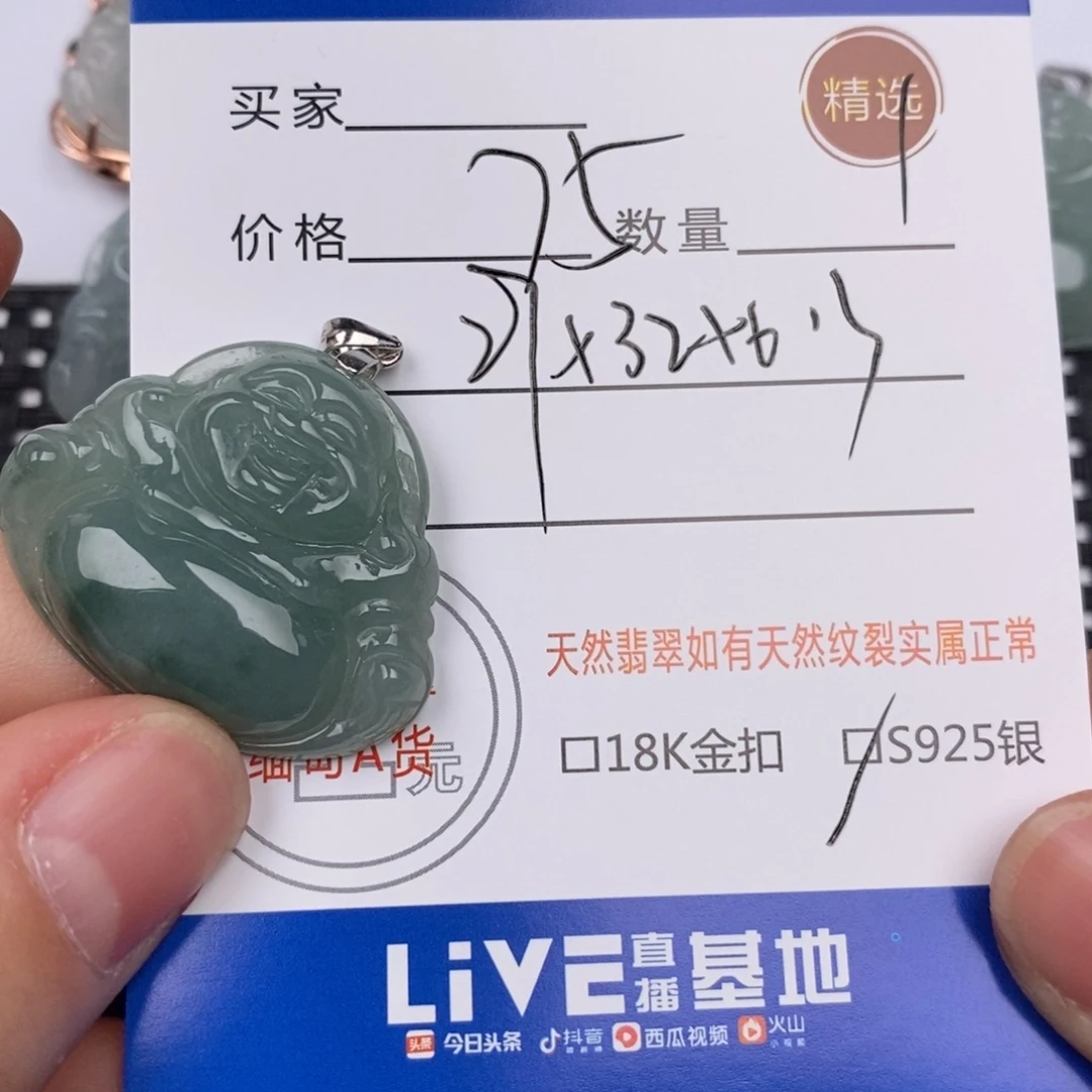 翡翠银S925镶嵌颈饰