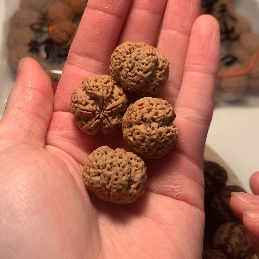 金刚菩提手串张*24龙牙梅花母树定制超头