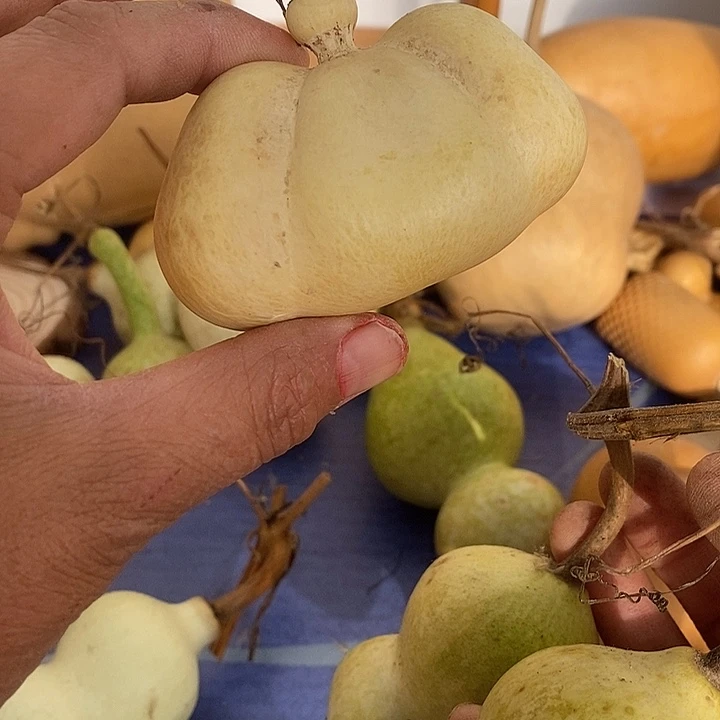 葫****青皮葫芦手把件摆件