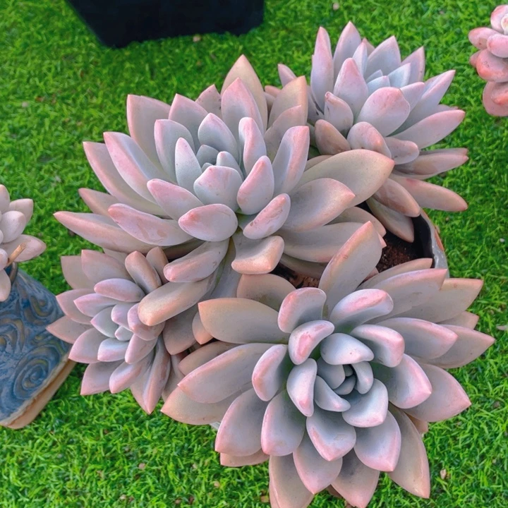 谢谢你的支持0000028