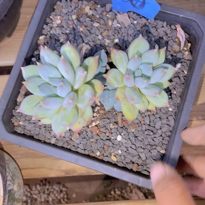 是不是有啥好生气