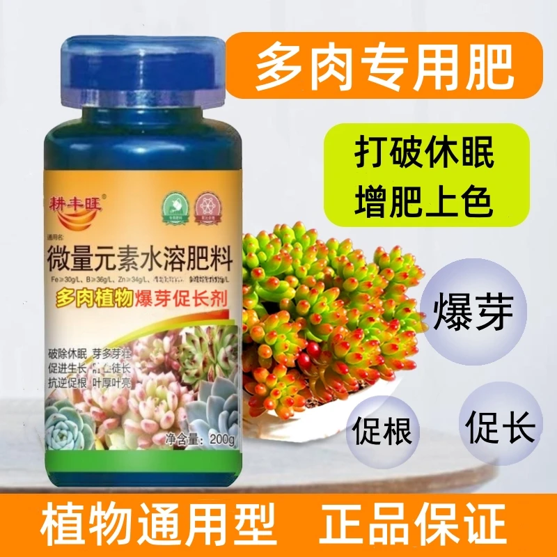 多肉植物促芽爆芽剂增色增肥植物通用催芽素多肉发芽素植物营养液