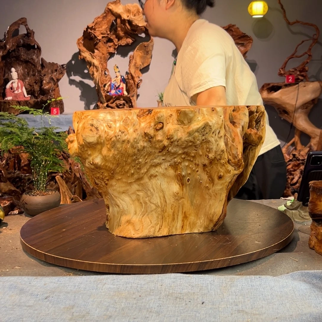 关***馆香杉木528aaaaaaaa