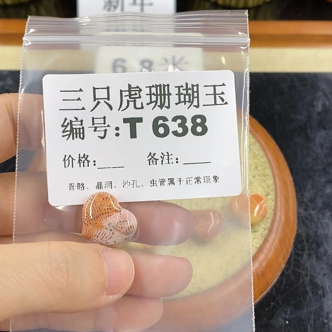 硅化珊瑚（珊瑚玉）1未镶嵌小*