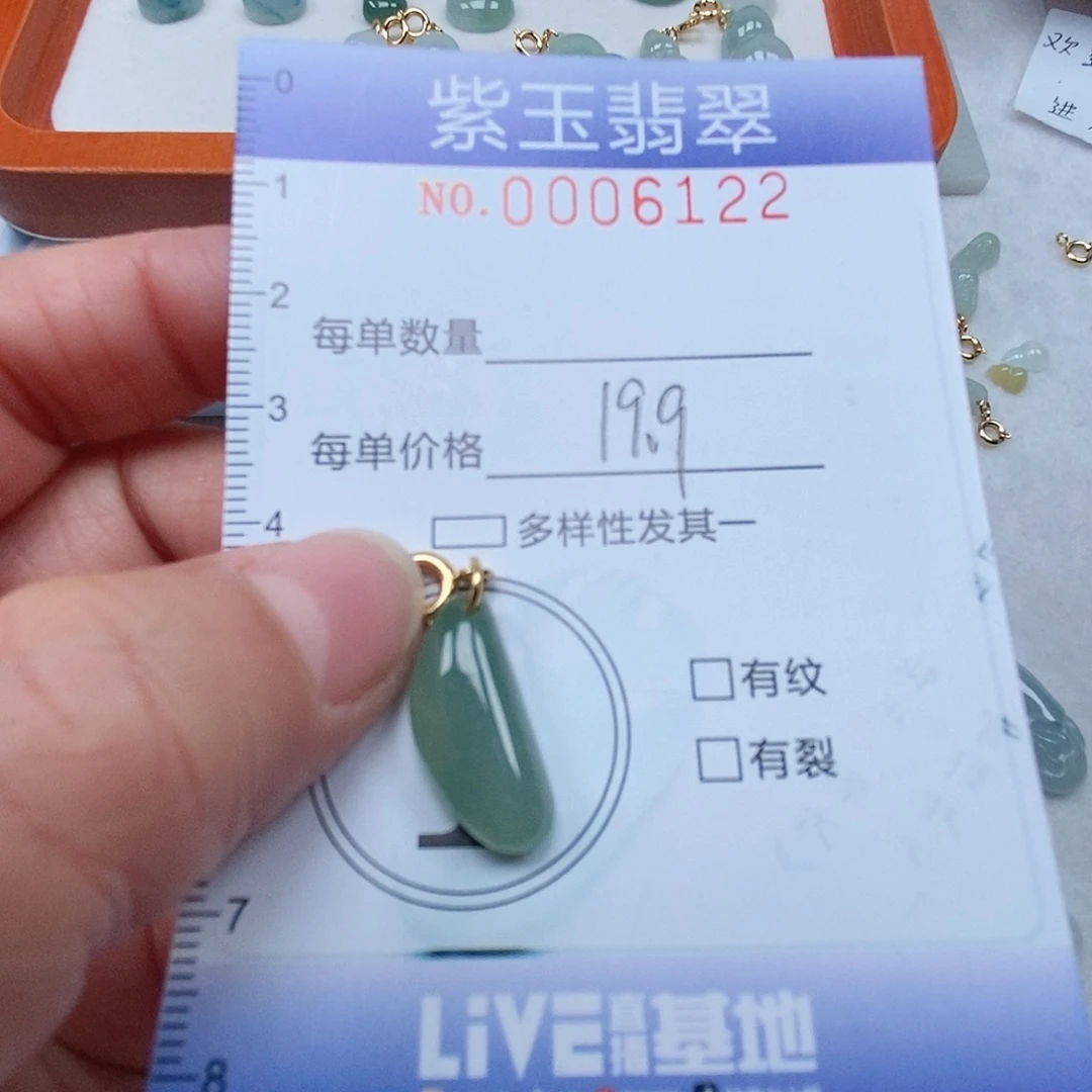 颈饰未镶嵌翡翠冰透随行