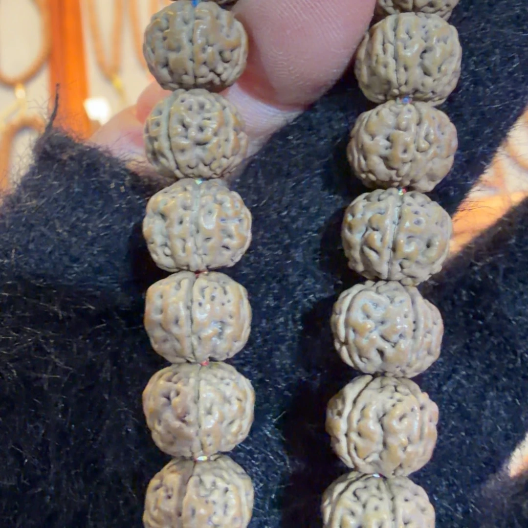 手串金刚菩提老树王