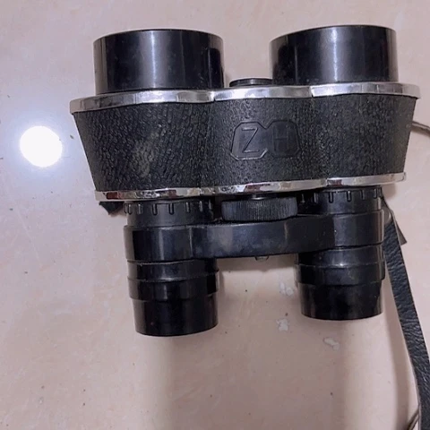 香榧木呵*Fggfuhcgbcvbvcv