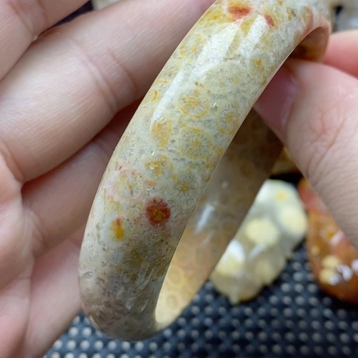 硅化珊瑚（珊瑚玉）颈饰未镶嵌62