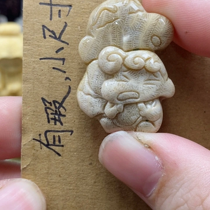 颈饰未镶嵌硅化珊瑚（珊瑚玉）