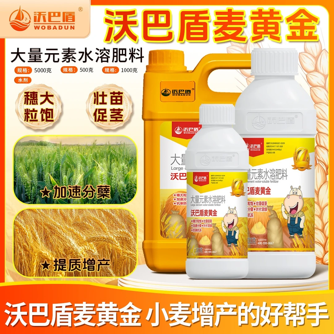 【沃巴盾】麦黄金抗寒防冻壮苗促茎抗逆抗倒伏穗大粒饱水溶肥料